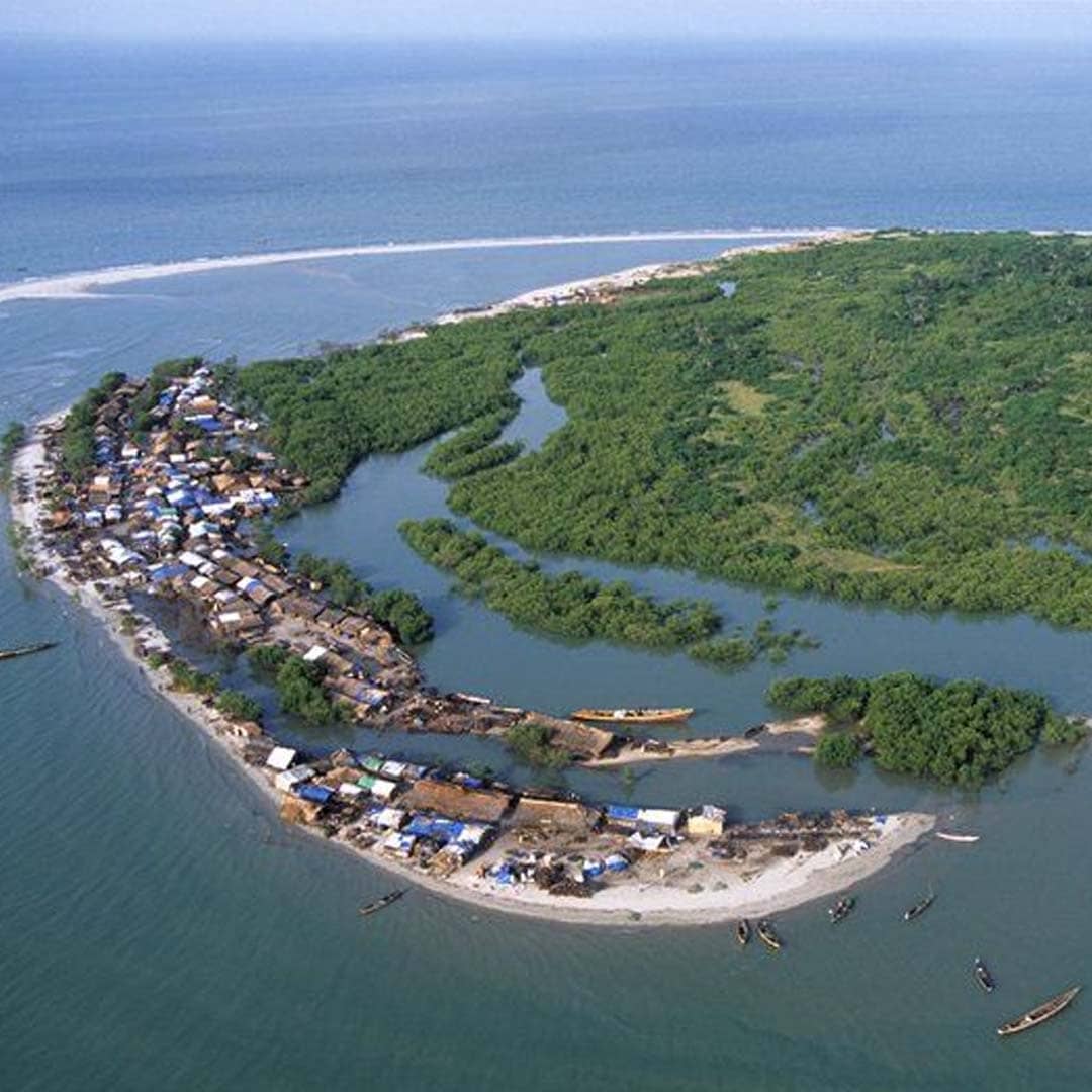 غينيا بيساو image