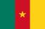 Cameroon flag