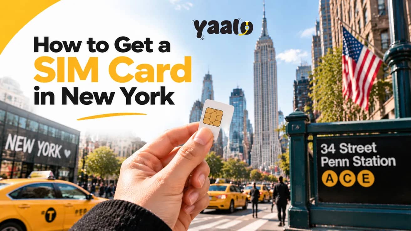 eSim Blog