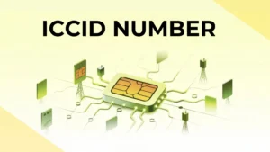 What is the ICCID number How can you find it