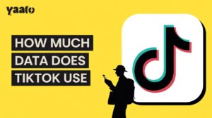How much Data Does TitTOK Use