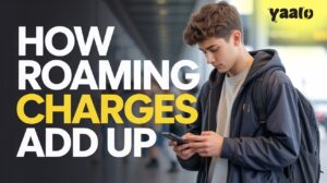How do Roaming Charges Add Up