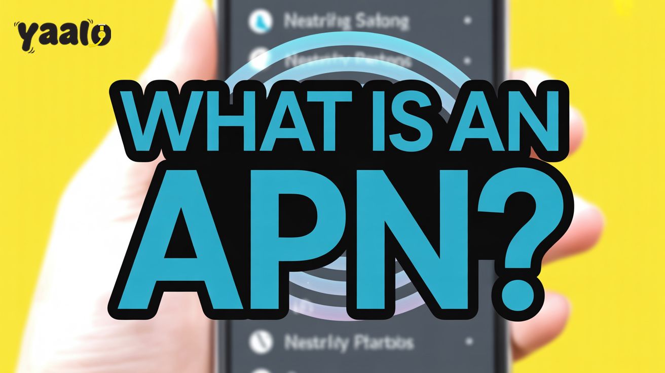 What is an APN? How Can you Update it from Device settings? 1 What is an APN