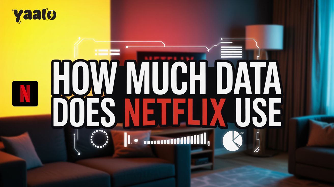 How Much Data Does Netflix Use? Travel with Yaalo eSIM! 1 How Much Data Does Netflix Use