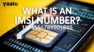 What is the IMSI Number